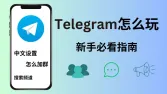 Telegram怎么玩？电报新手必看使用指南